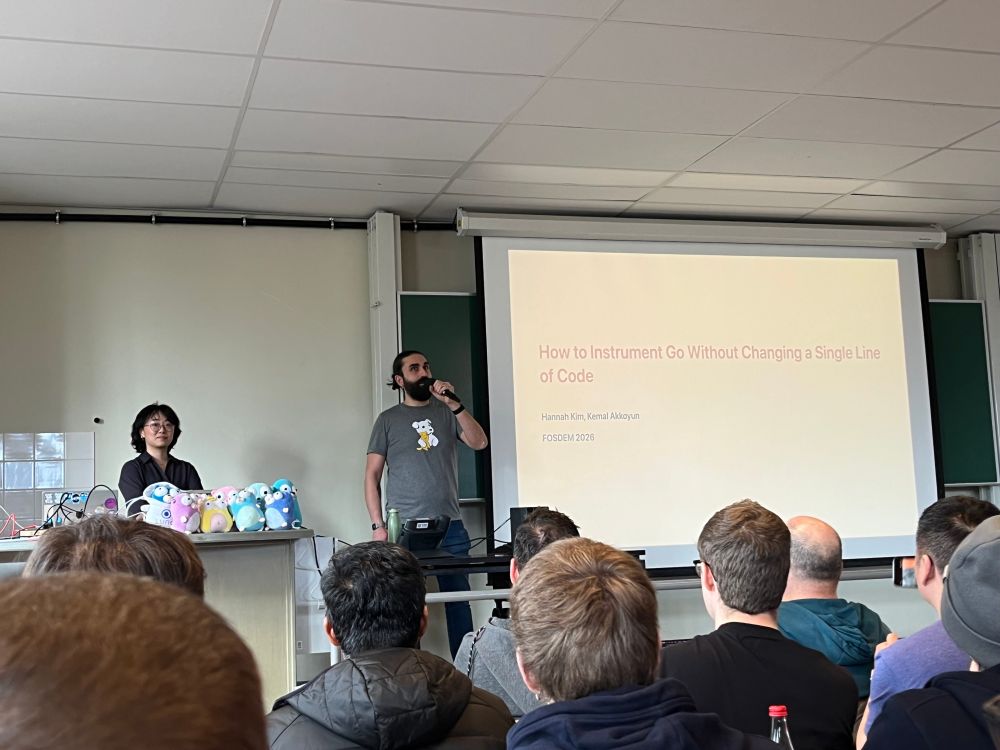 Auto-Instrumenting Go